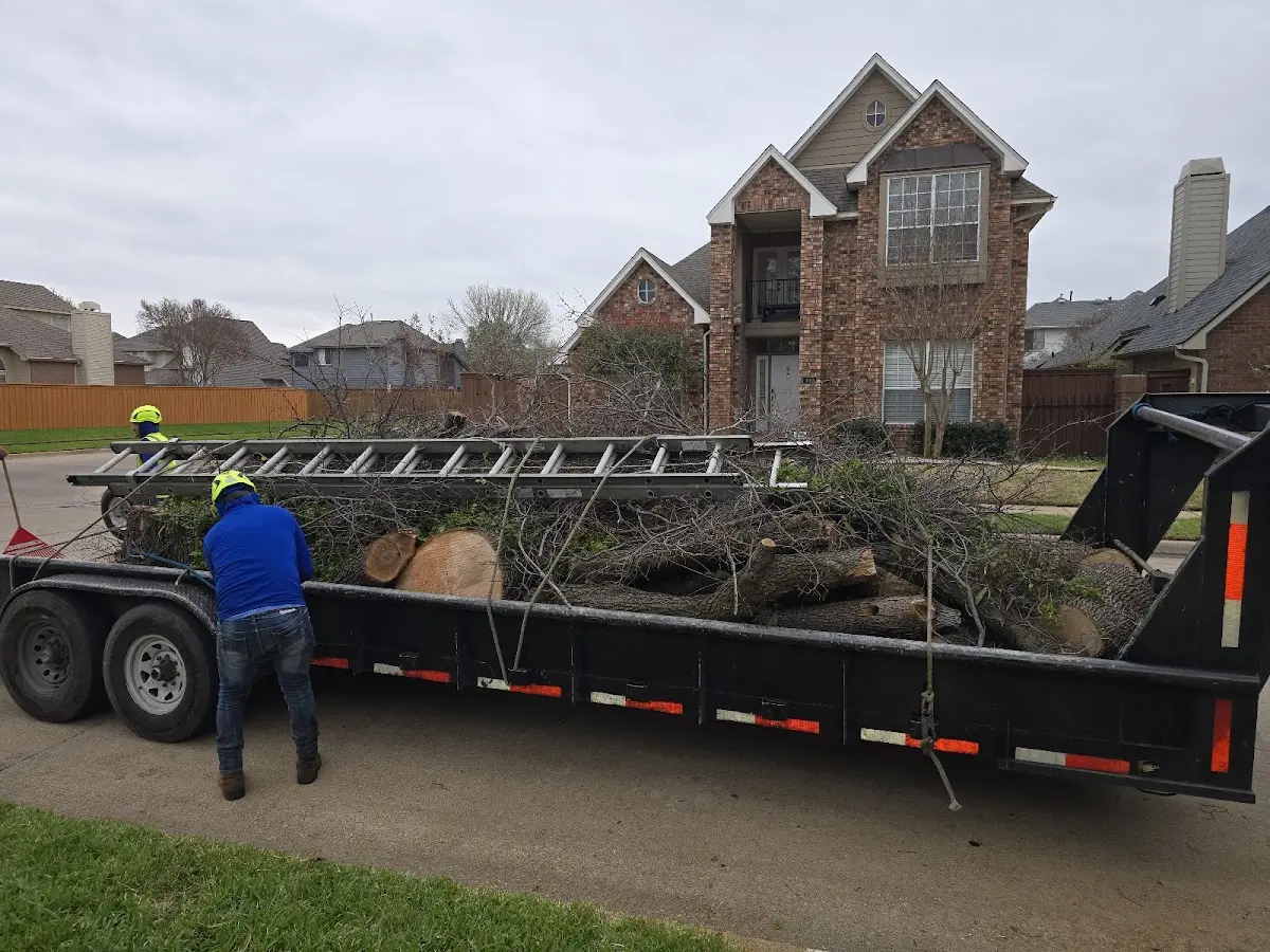 Expert Lot Clearing with proper safety equipment in Aripeka